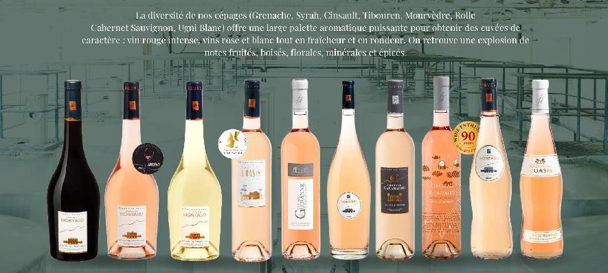 Vins vignoble